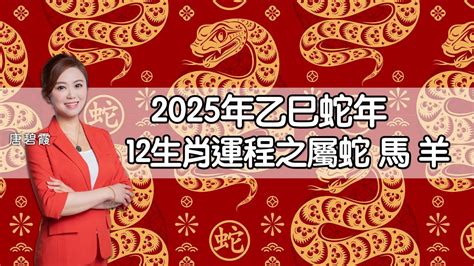 2025 蛇|2025蛇年運程｜12生肖運勢全面睇+犯太歲4生肖+開運大